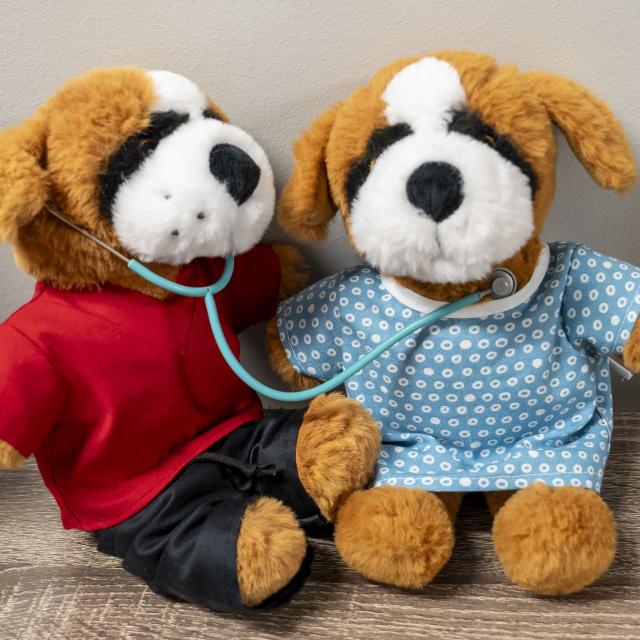 Two plush Saint Bernards, one in scrubs with a stethoscope, the other in a medical gown